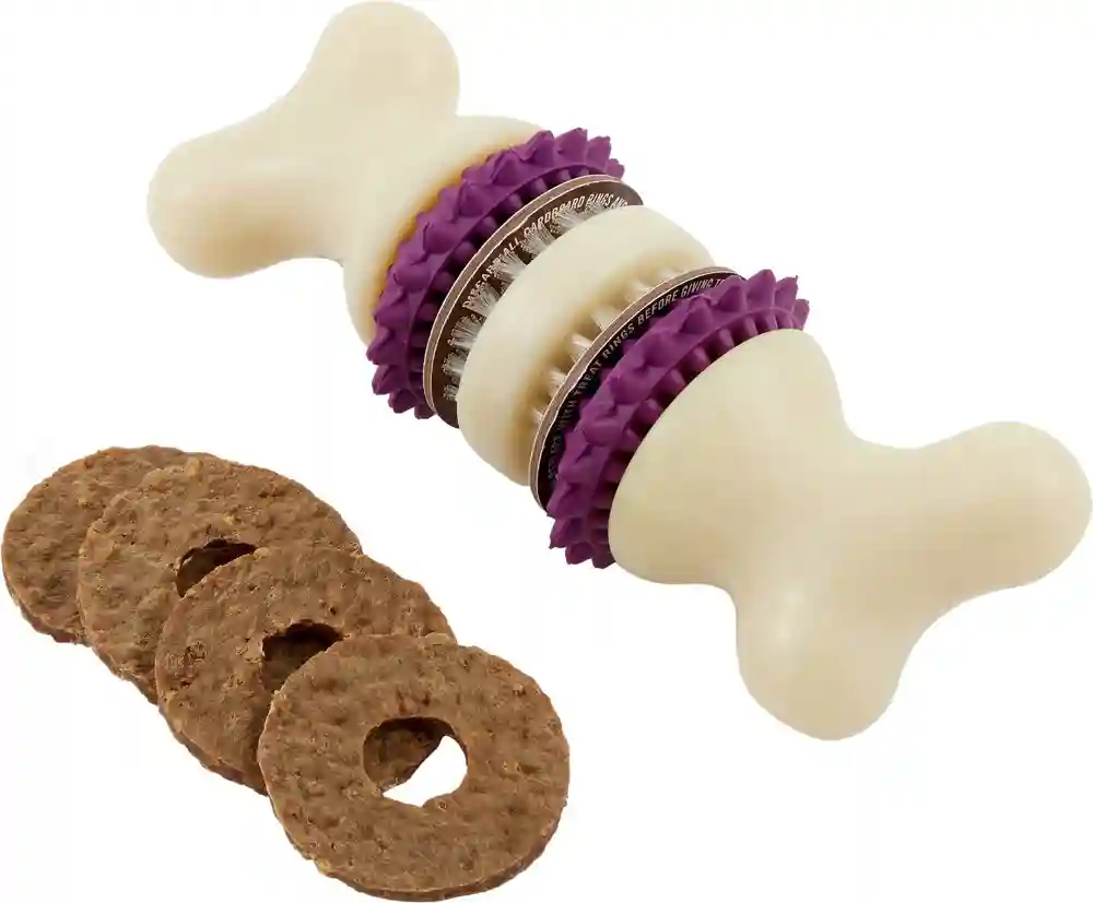 Petsafe busy buddy shops bristle bone dog toy